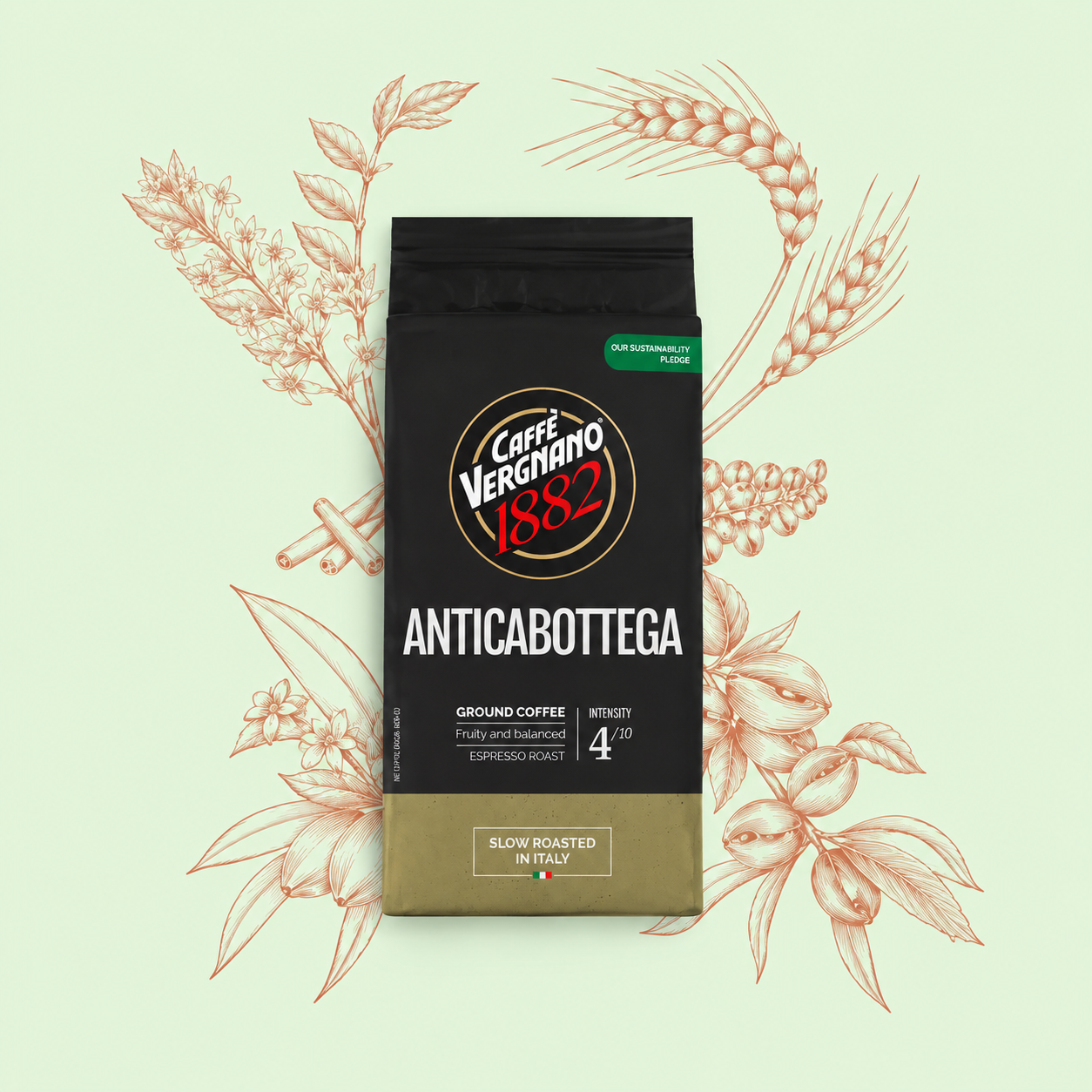 Antica Bottega – Ground